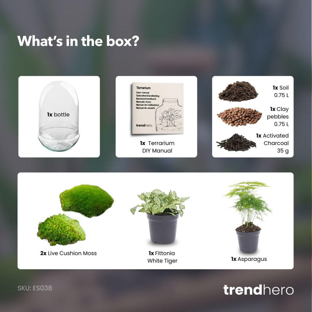 DIY Planten terrarium tweedelig bolglas - Egg XL - Ø 17,5 cm ↑ 30 cm