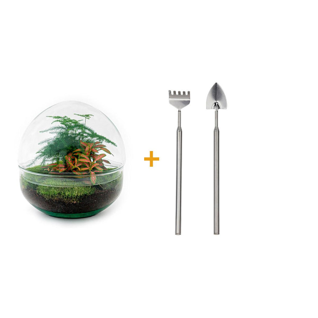 DIY Planten terrarium tweedelig bolglas - Dome Red - Ø 20 cm ↑ 20 cm   - Rake + Shovel