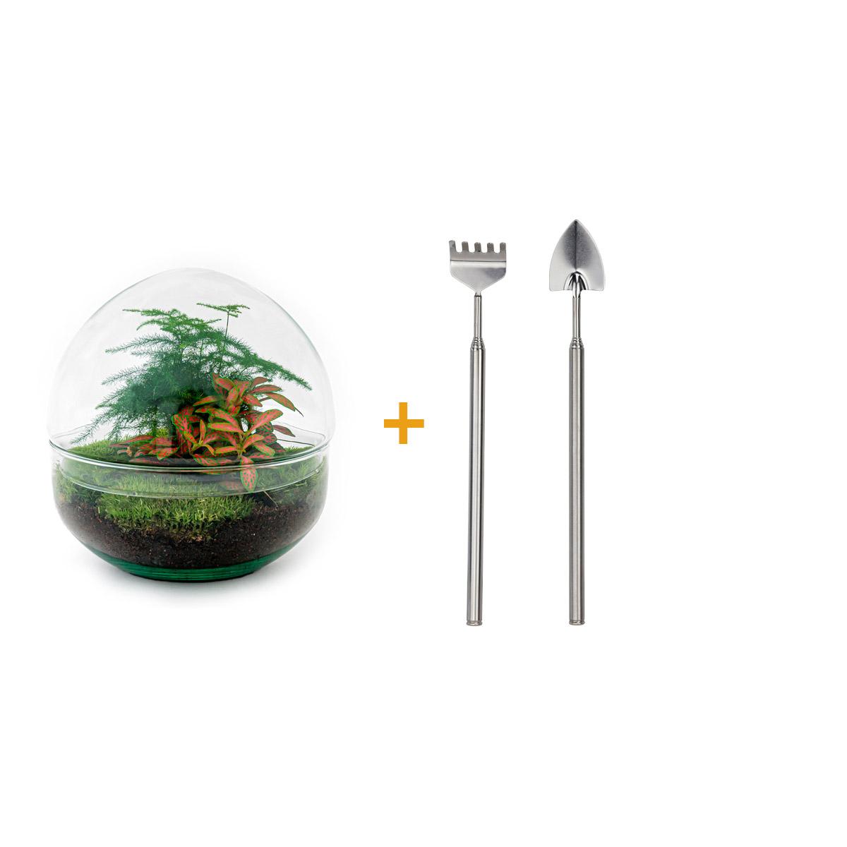 DIY Planten terrarium tweedelig bolglas - Dome Red - Ø 20 cm ↑ 20 cm   - Rake + Shovel