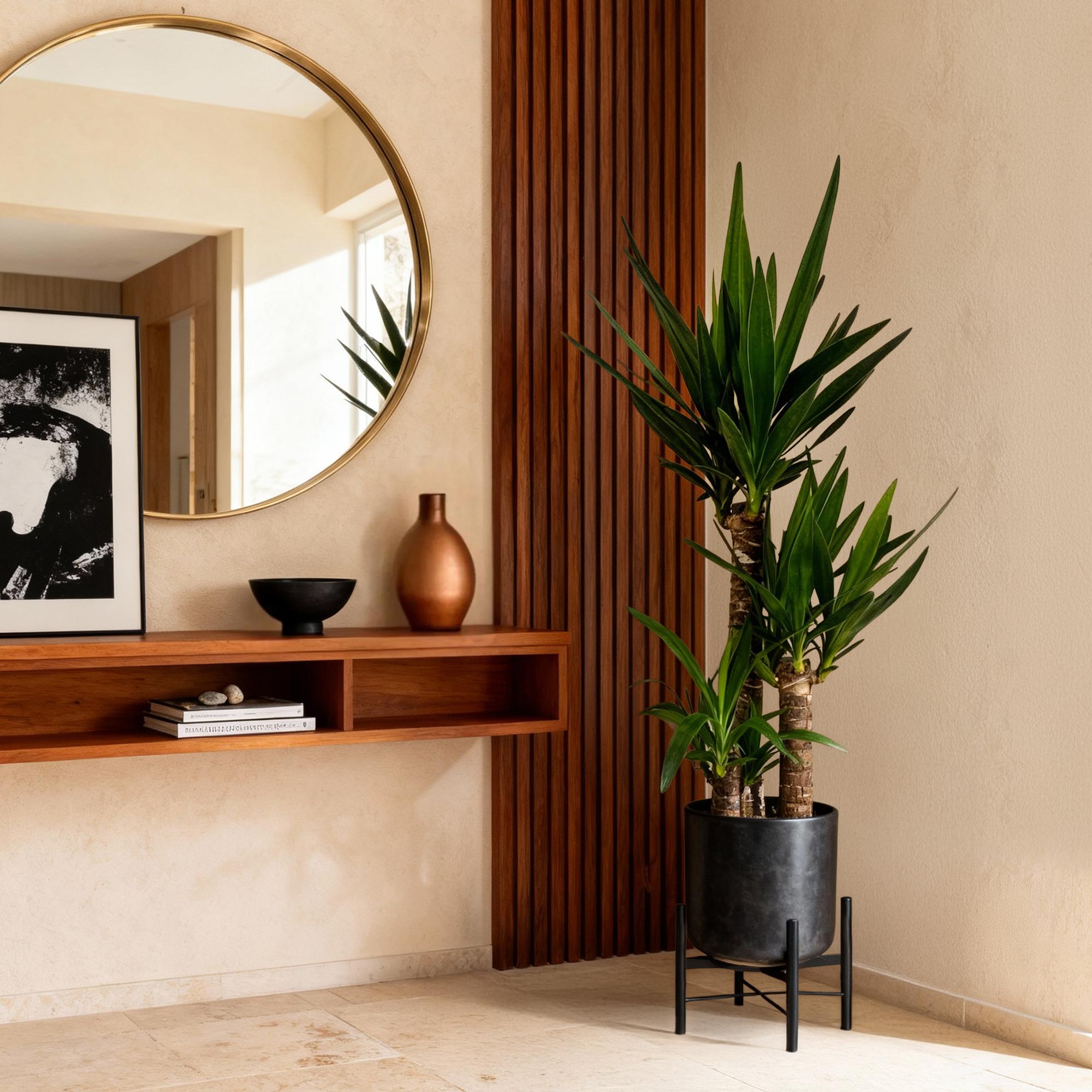 Green boutiQ - Kamerplant - Yucca elephantipes - Yucca - Weinig onderhoud - Groen - 2 - Pot 21cm - Hoogte 100cm