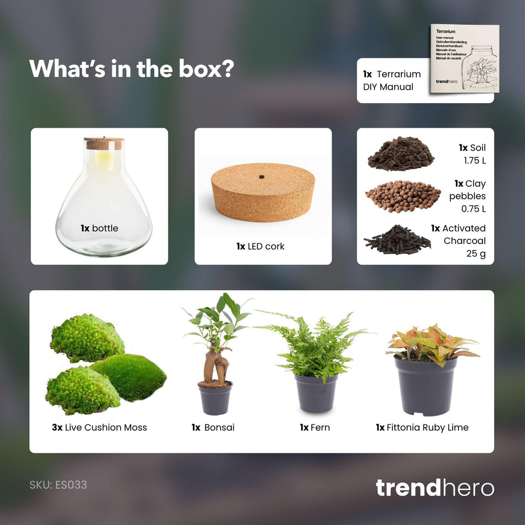 DIY planten terrarium met licht - Sam XL Bonsai - Ø 30 cm ↑ 32 cm