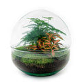 DIY Planten terrarium tweedelig bolglas - Dome Red - Ø 20 cm ↑ 20 cm   - Rake + Shovel + Tweezer