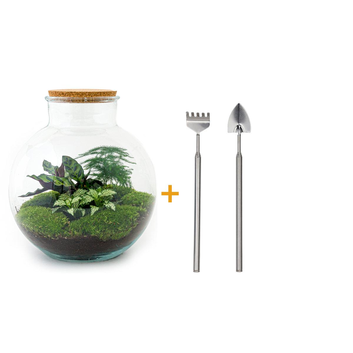 DIY Planten terrarium (met verlichting) - Bolder Bob - Ø 31 cm ↑ 30 cm - Rake + Shovel
