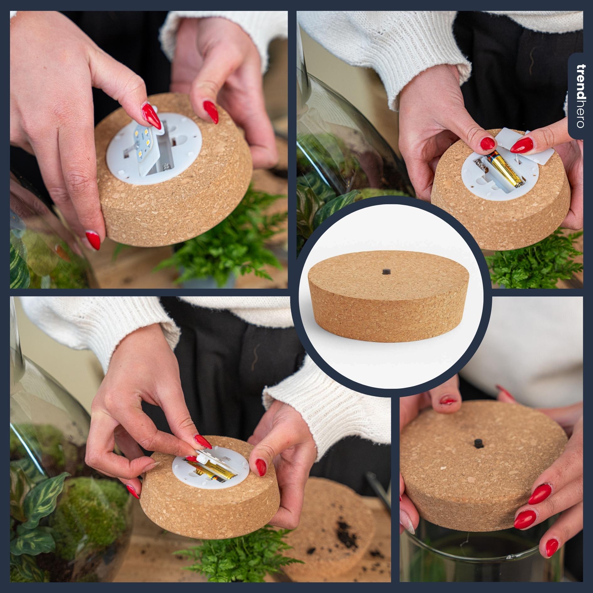 Led kurk M  - Kurk met verlichting - LED lamp voor terrarium - 12 x 10,8 x 3 cm