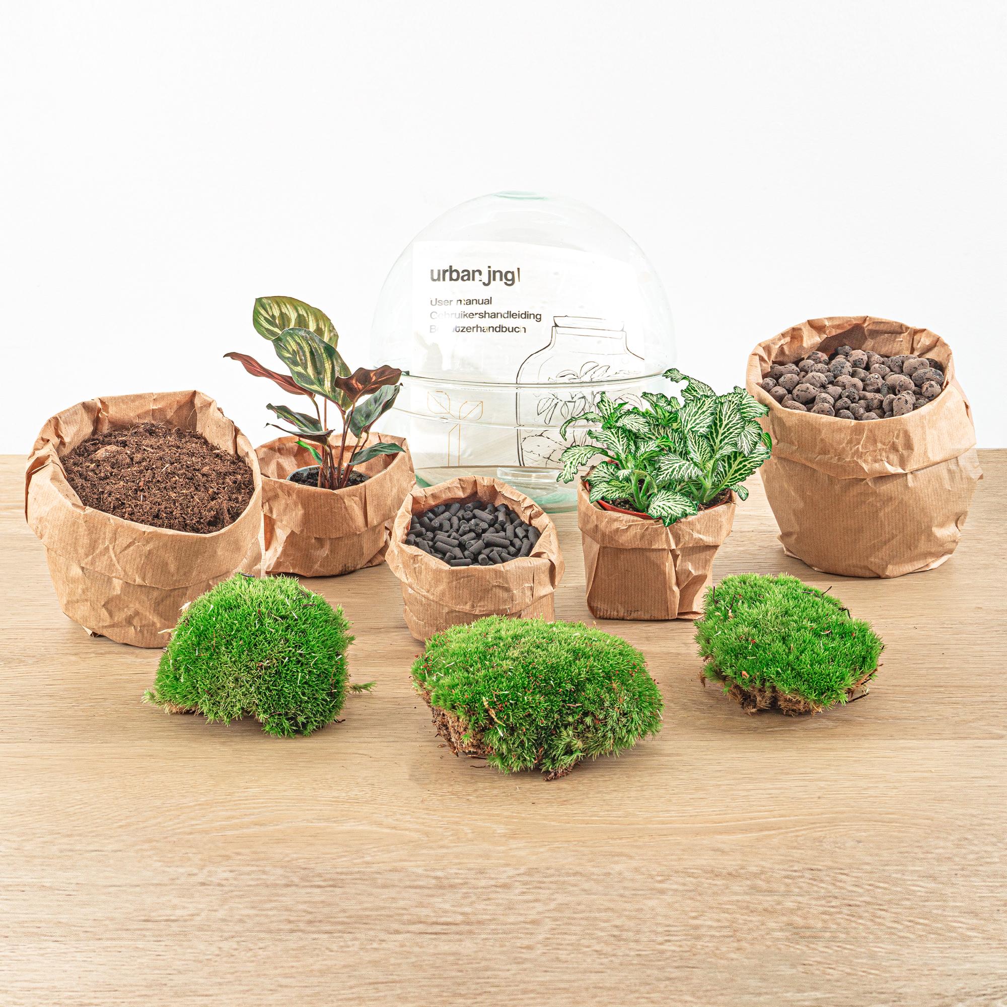 DIY Planten terrarium tweedelig bolglas - Dome - Ø 20 cm ↑ 20 cm - Rake + Shovel + Tweezer