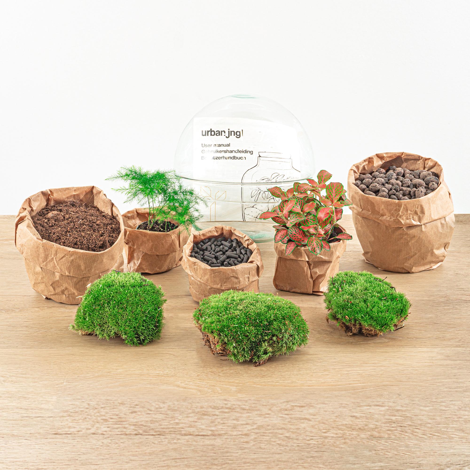 DIY Planten terrarium tweedelig bolglas - Dome Red - Ø 20 cm ↑ 20 cm   - Rake + Shovel