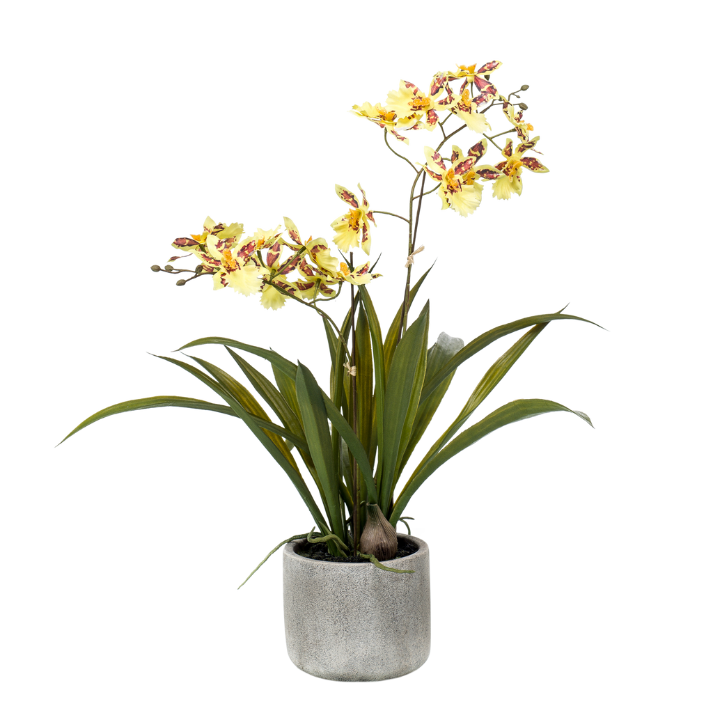 Kunstplant - Orchidee - Geel - 45cm