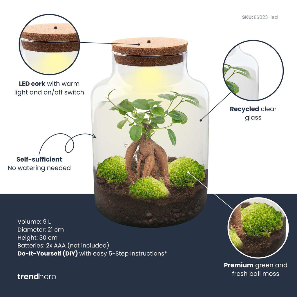 DIY Planten terrarium met licht - Milky Bonsai - Ø 21 cm ↑ 30 cm - No tools