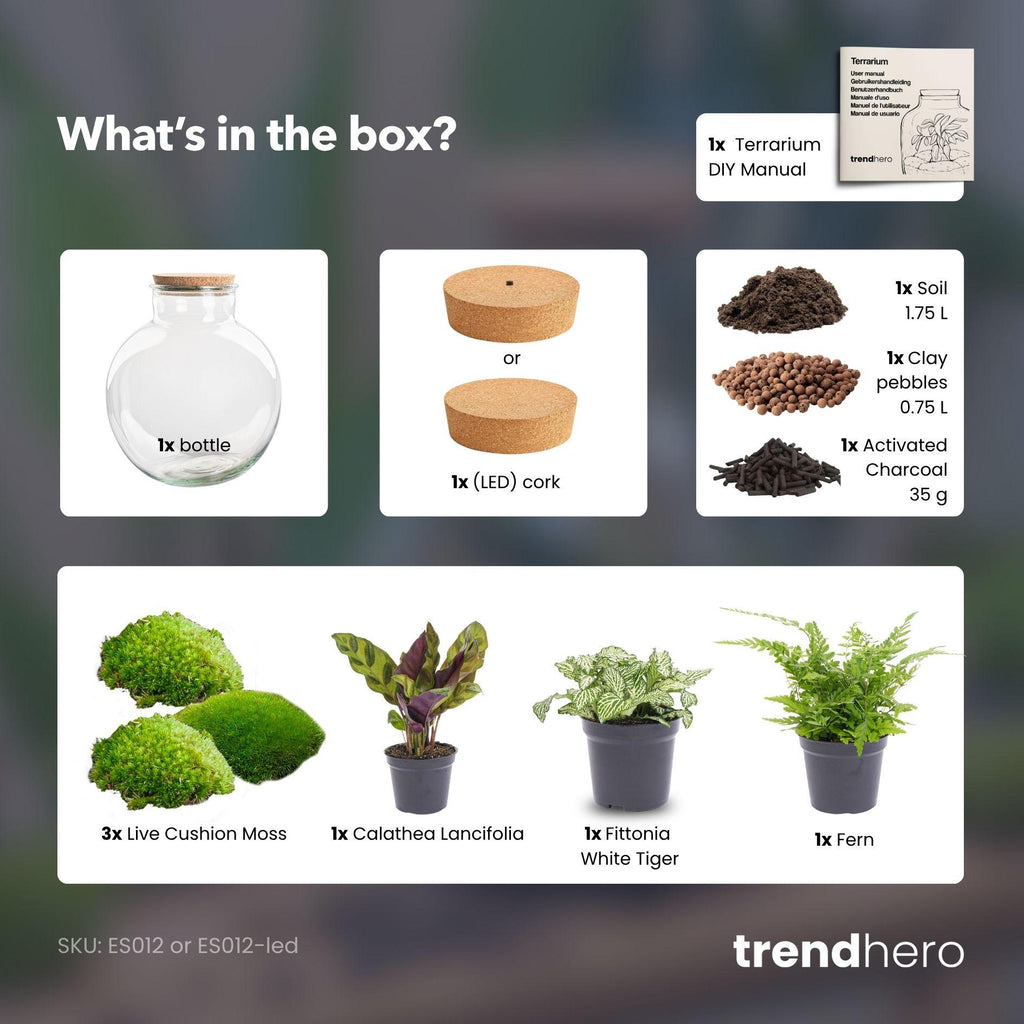 DIY Planten terrarium (met verlichting) - Bolder Bob - Ø 31 cm ↑ 30 cm - Met LED-kurk