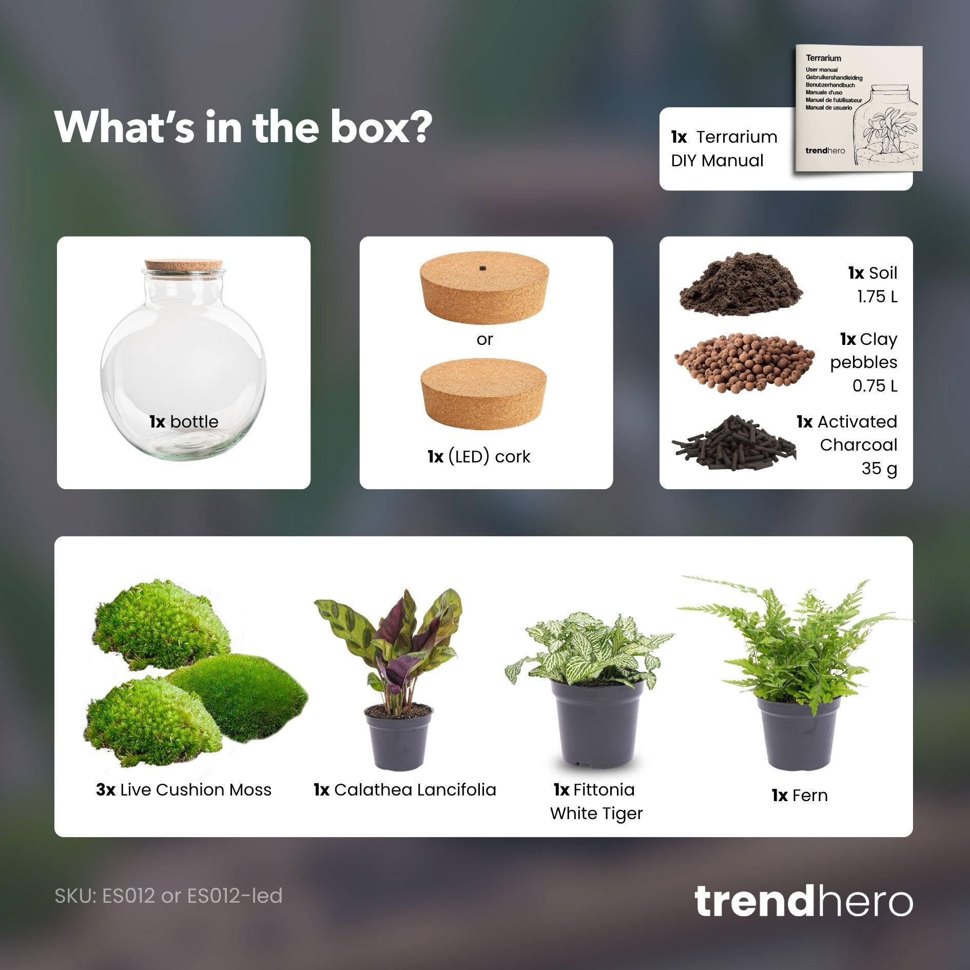 DIY Planten terrarium (met verlichting) - Bolder Bob - Ø 31 cm ↑ 30 cm - Met LED-kurk