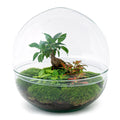 DIY Planten terrarium tweedelig bolglas - Dome XL Bonsai - Ø 28 cm ↑ 28 cm - Rake + Shovel + Tweezer