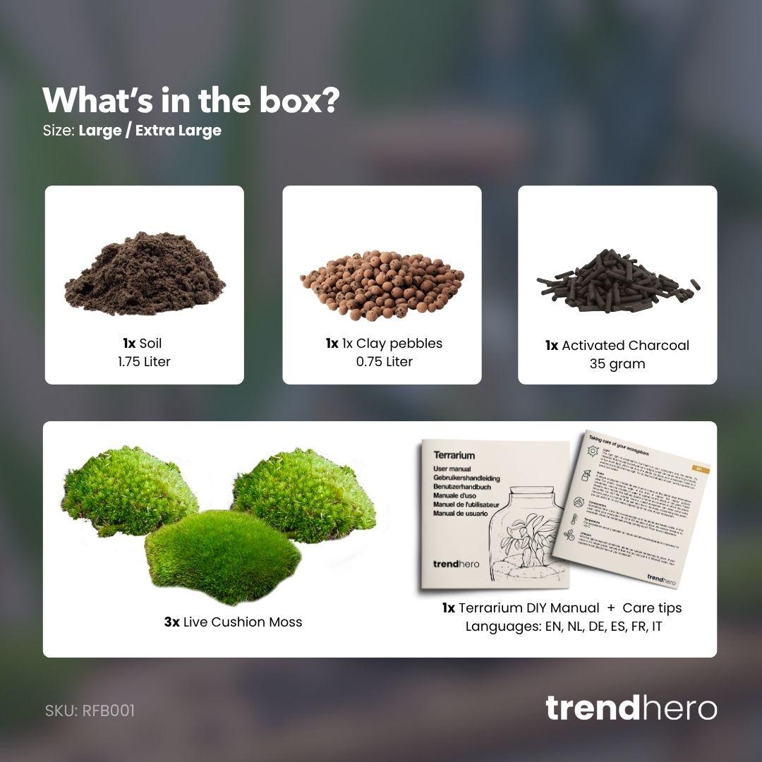 Planten terrarium navulling & startpakket - Maat L/XL
