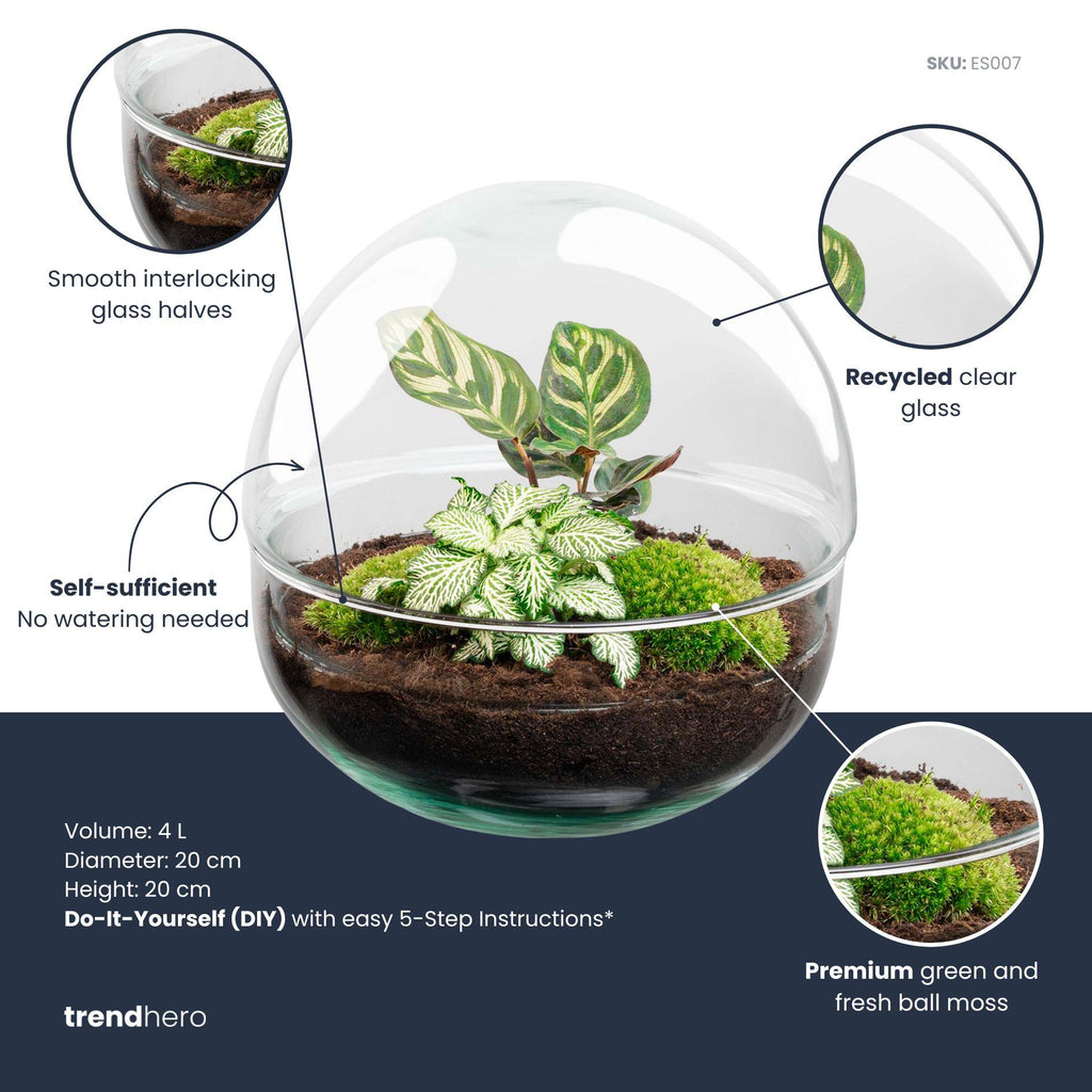 DIY Planten terrarium tweedelig bolglas - Dome - Ø 20 cm ↑ 20 cm - Normal