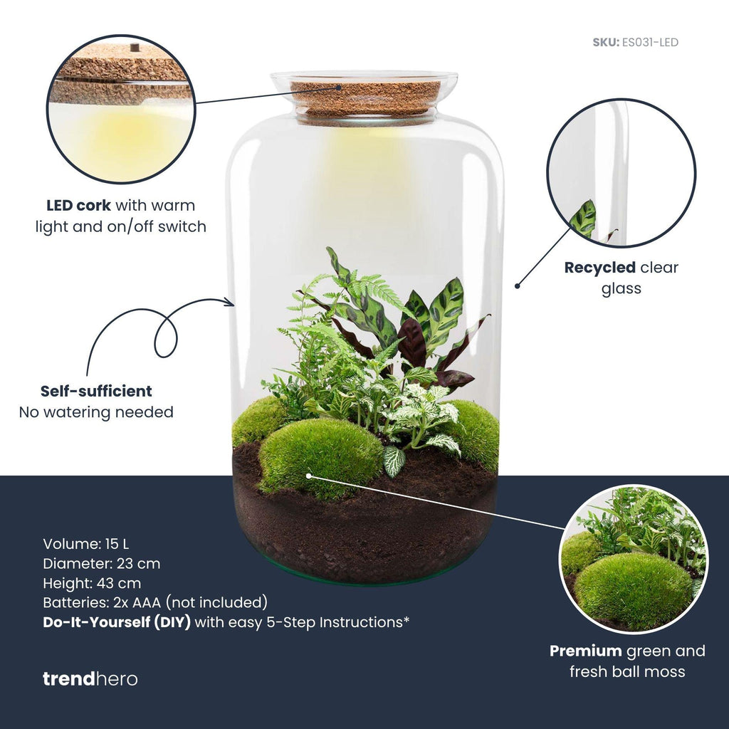 DIY Planten terrarium met licht - Sven XL Botanical - Ø 23 cm ↑ 43 cm - No tools