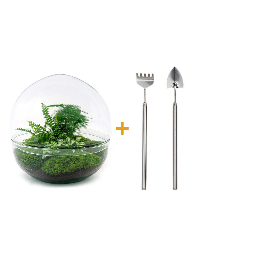 DIY Planten terrarium tweedelig bolglas - Dome XL -Ø 28 cm ↑ 28 cm - Rake + Shovel