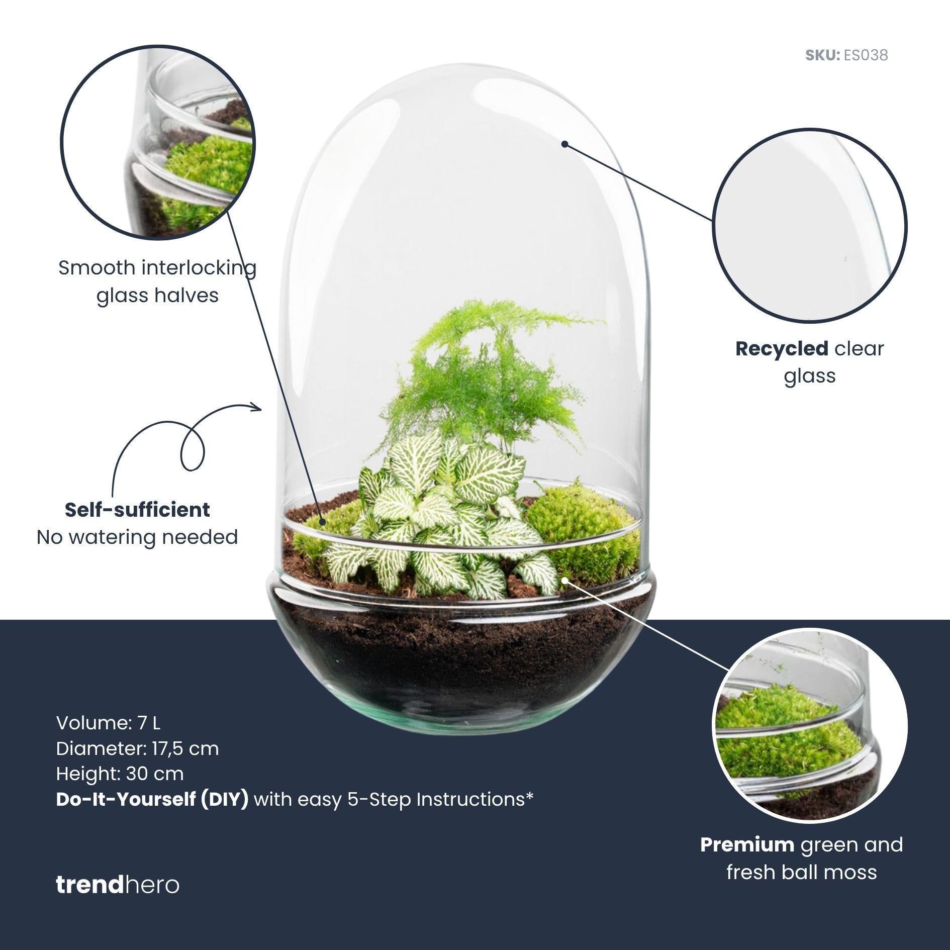 DIY Planten terrarium tweedelig bolglas - Egg XL - Ø 17,5 cm ↑ 30 cm