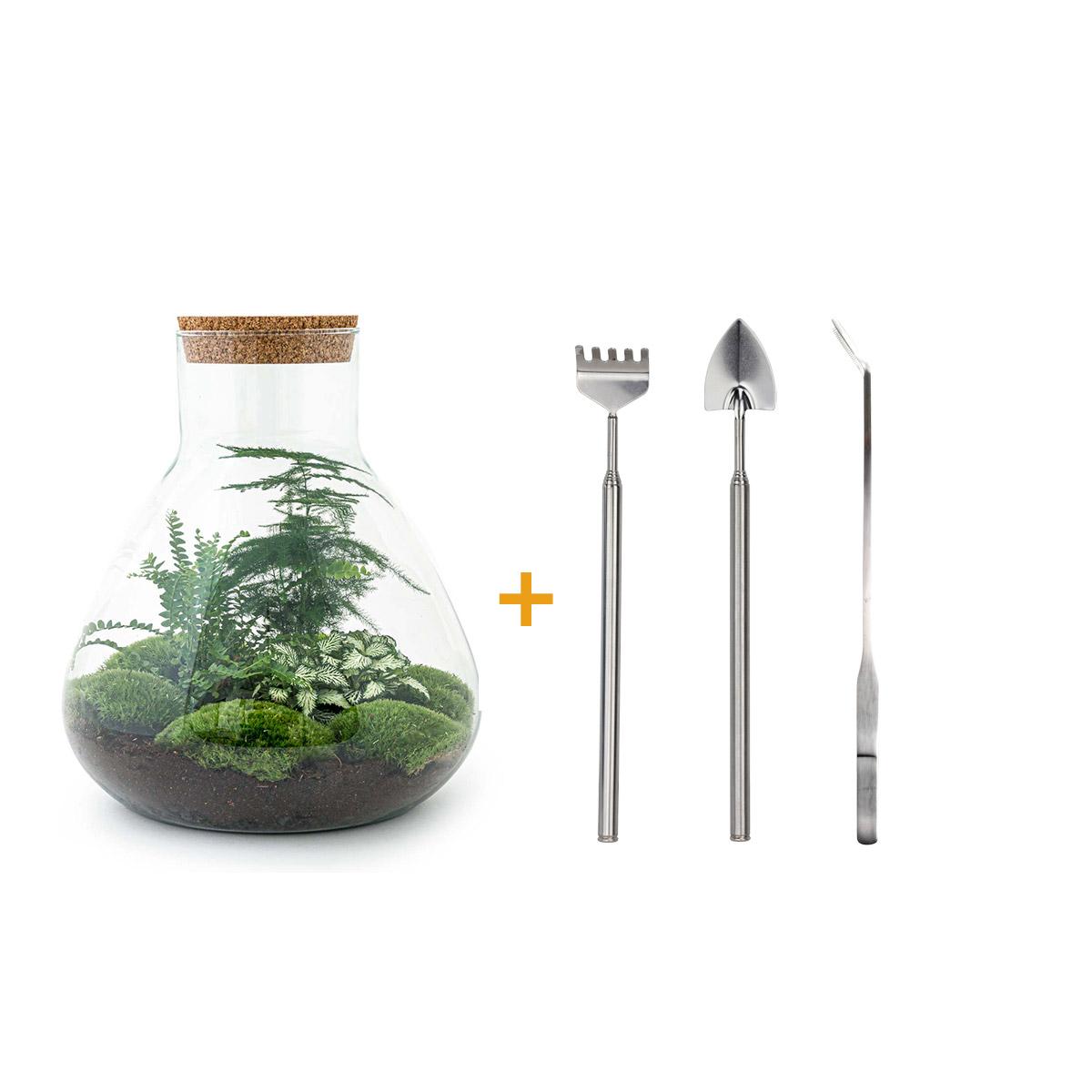 DIY Planten terrarium met licht - Sam XL Green - Ø 30 cm ↑ 32 cm - Rake + Shovel + Tweezer