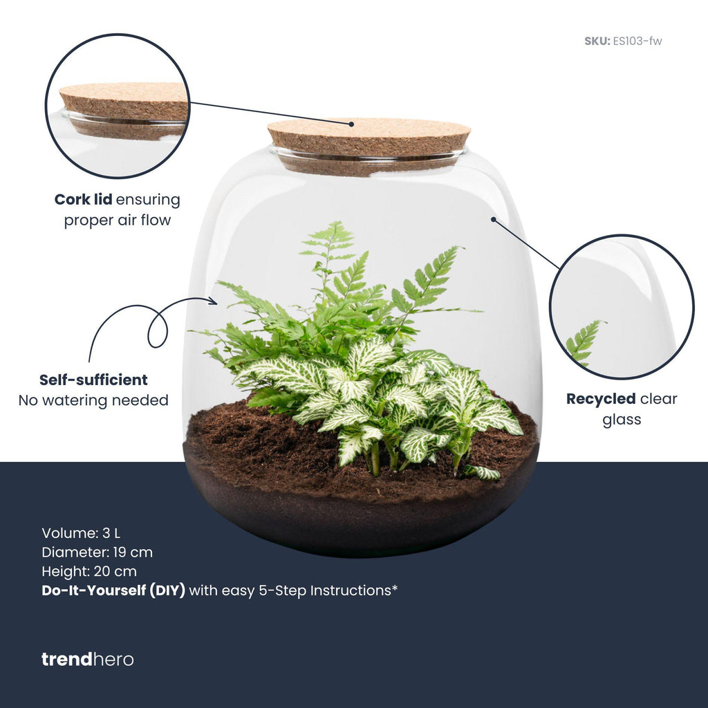 Planten terrarium - Emma Mini - DIY kit - ↑ 20 cm - Ø 19 cm - Fittonia White Tiger